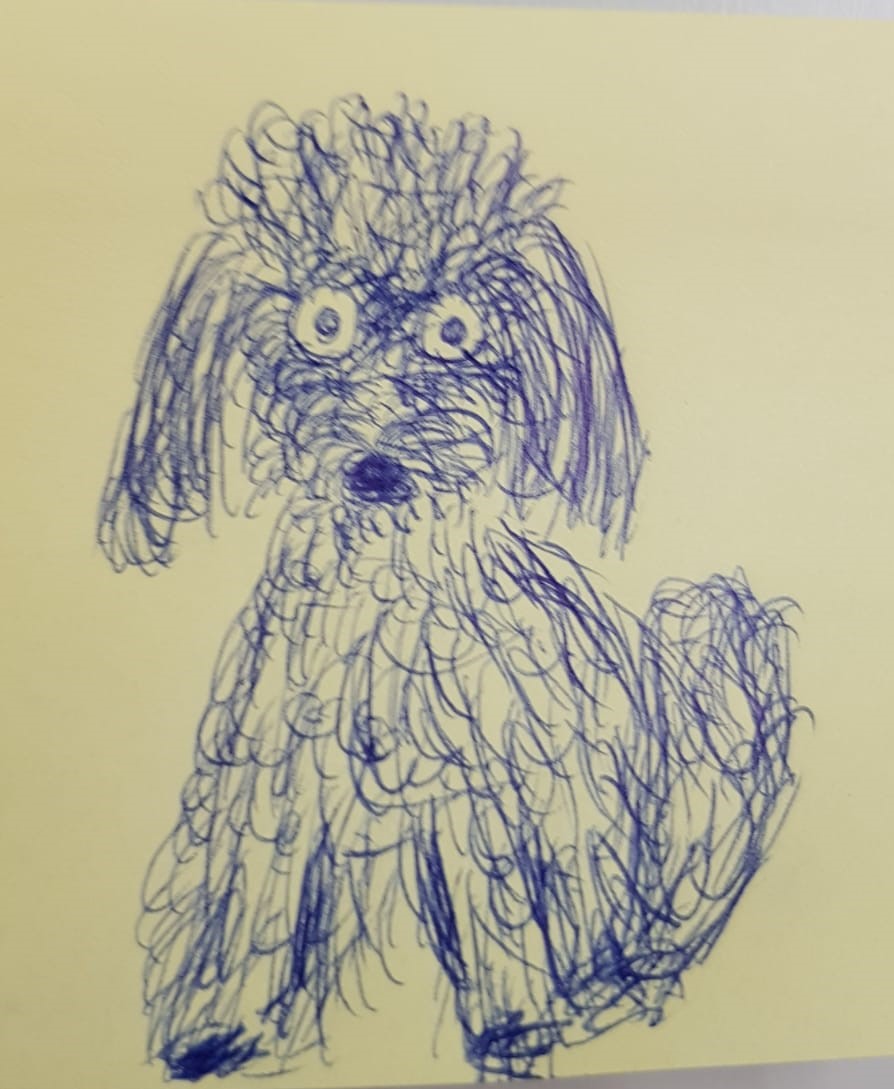 Ivo